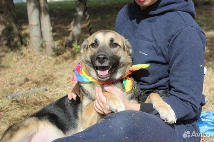 Не хочу замерзнуть зимой