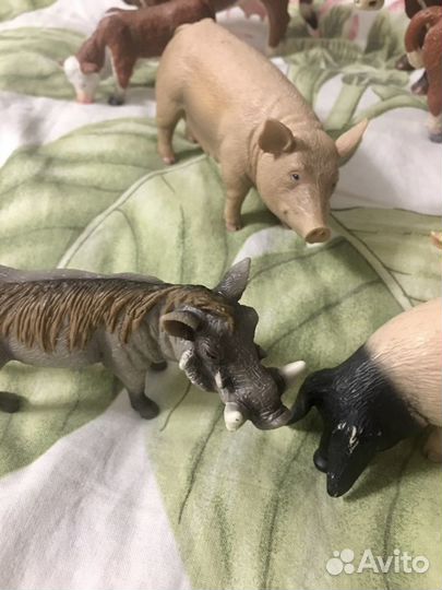 Семейство свиней Collecta и Schleich