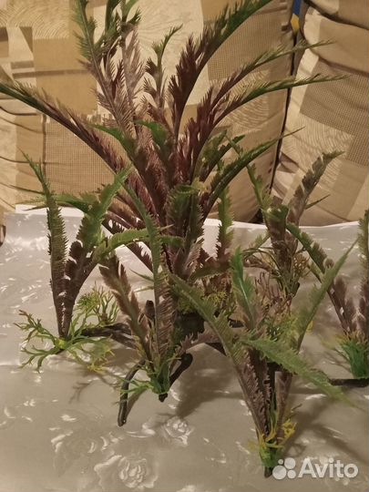 Аквариумный декор. Растения, ракушки, камни