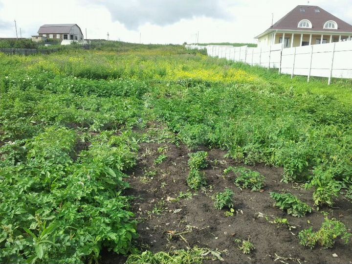 Участок 43,7 сот. (ИЖС)