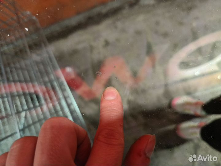 Ремонт Трещин Сколов на лобовом стекл Цена Договар