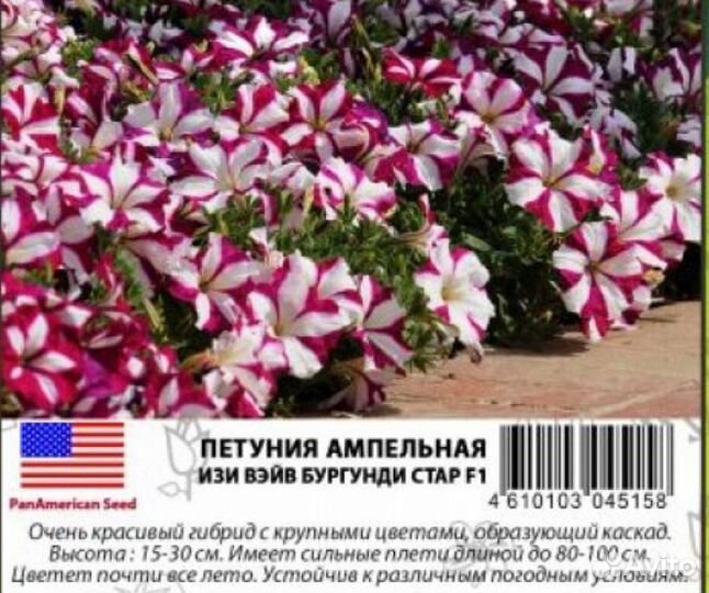 Профессиональные семена ампельной петунии