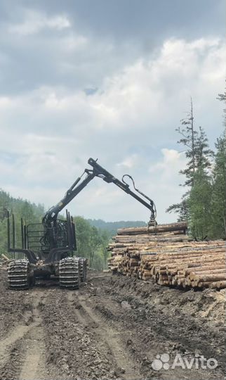 Продам лес кругляк