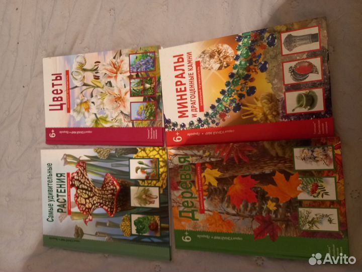 Детская красочная энциклопедия 