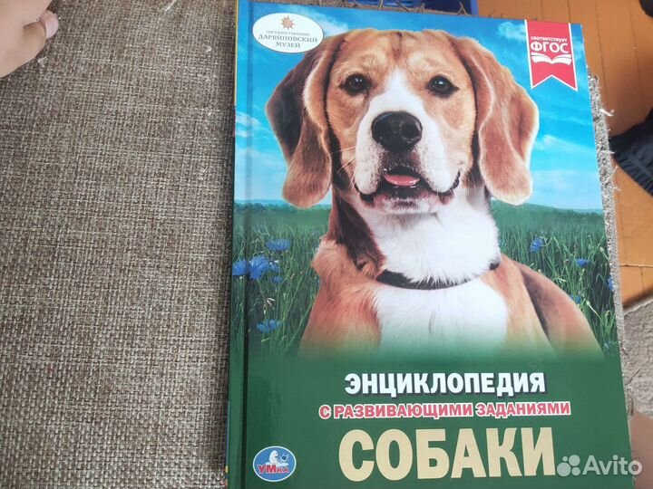 Энциклопедия с развивающеми заданиями