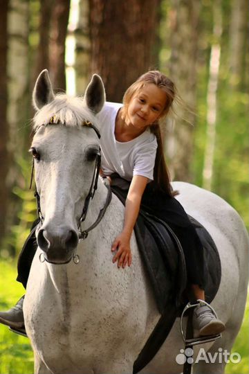 Конные прогулки и походы, обучение верховой езде
