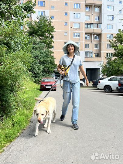 Выгул собак зеленоград