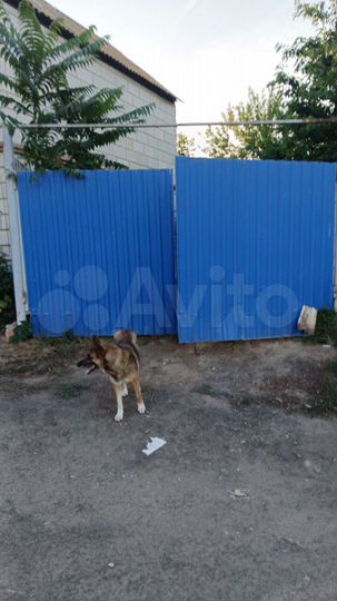 Дом 96 м² на участке 4 сот.