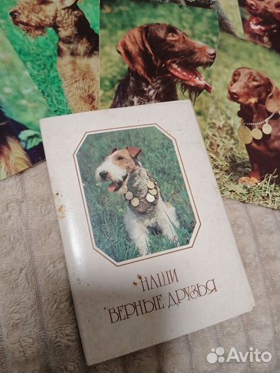 Набор с собачками
