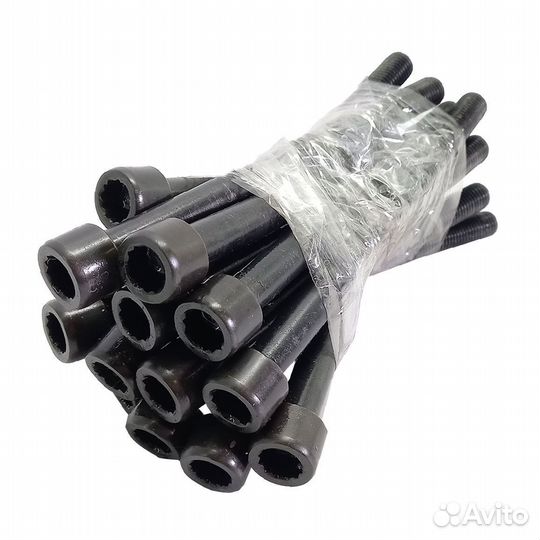 Комплект болтов гбц 10шт. Renault Megane/Scenic/La