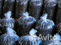 Продажа готовых грибных блоков вешенки