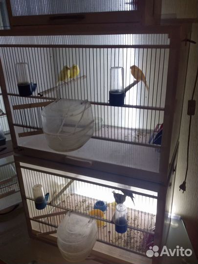 Клетка для птиц бу