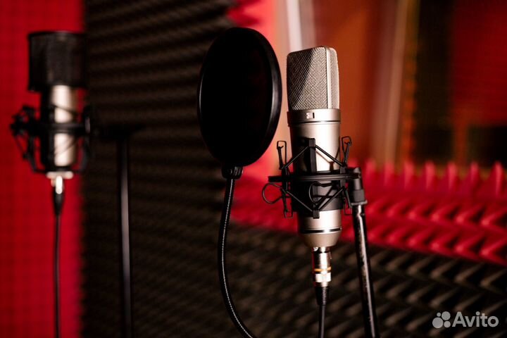 Студия звукозаписи / запись песни / аранжировка