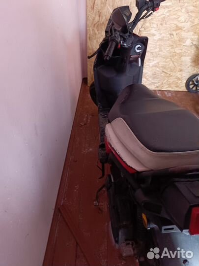 Nexus Boster