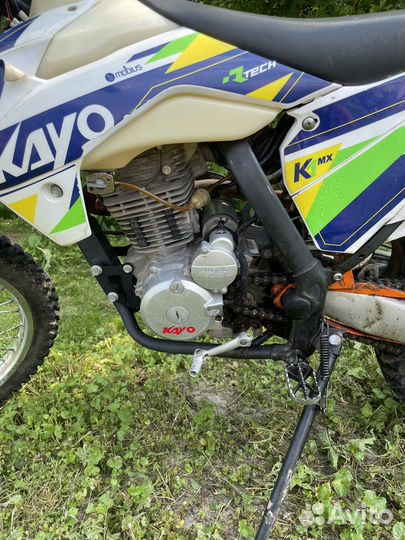 Kayo K1 250 MX