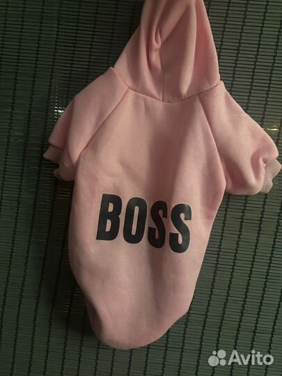 Одежда для собак