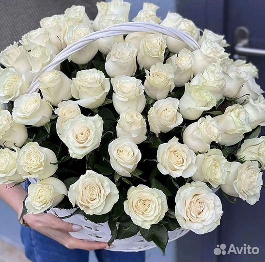 101 роза цветы букеты доставка 25 51 101 роза