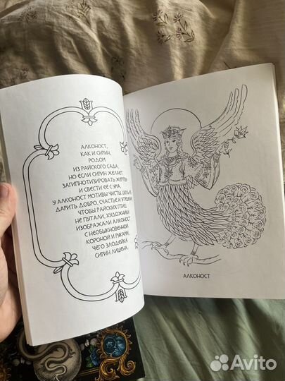 Славяникум и Мификториум