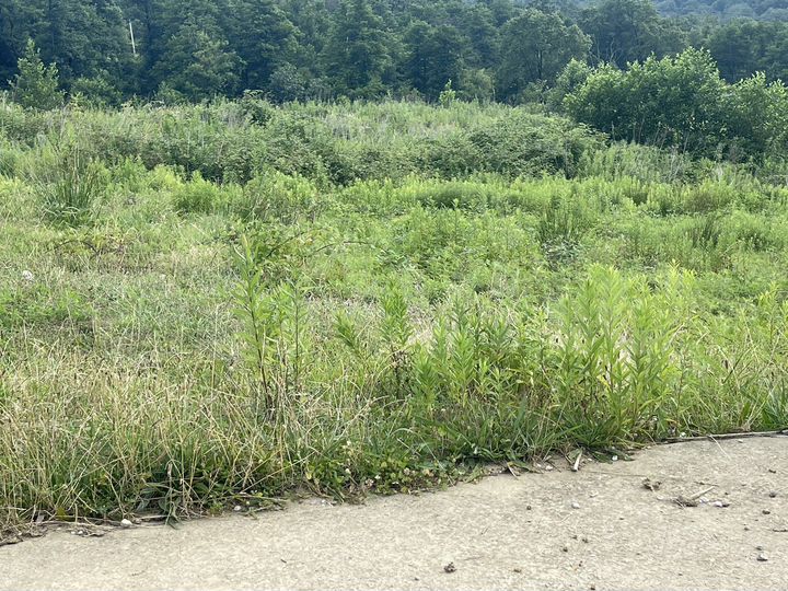 Участок 2,5 га (ИЖС)