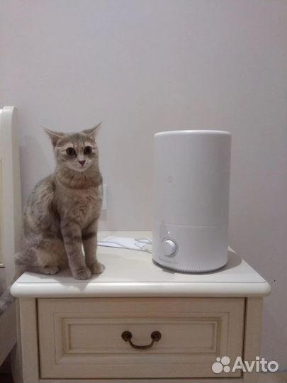 Увлажнитель воздуха Xiaomi Mi Mijia Air Humidifier