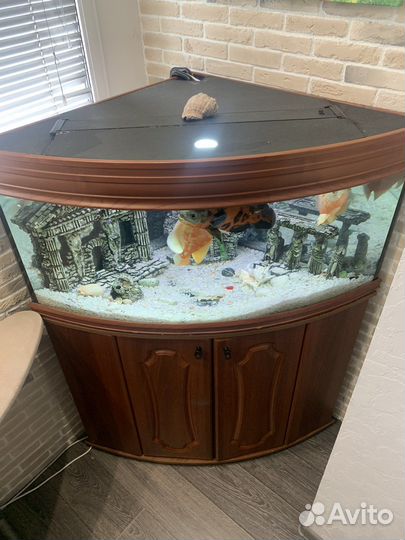 Аквариум с тумбой