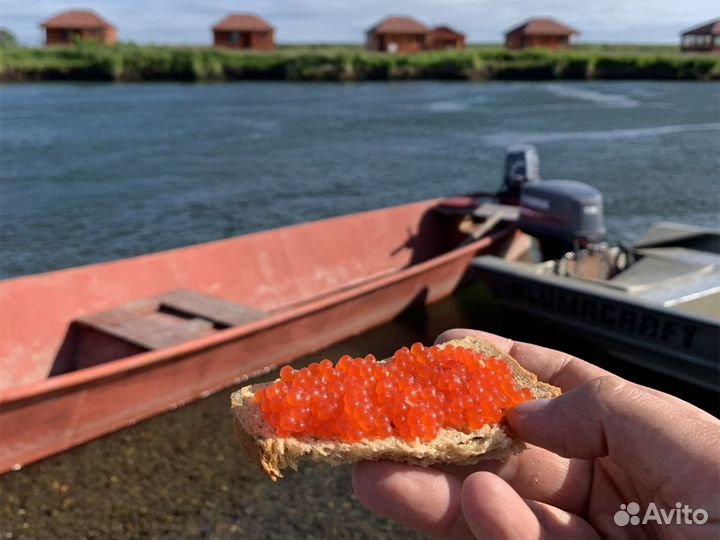 Рыболовные туры на Камчатку