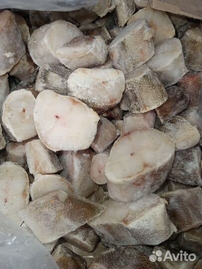 Рыба на корм животным