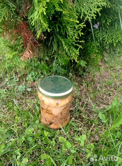 Печень трески, без посредников