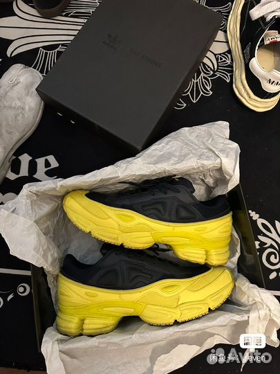 Raf simons ozweego x Adidas