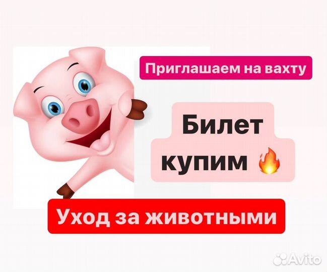 Вахта в Твери. Разнорабочие на ферму. Билет купим