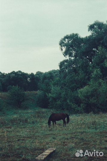 Olympus superzoom 70g