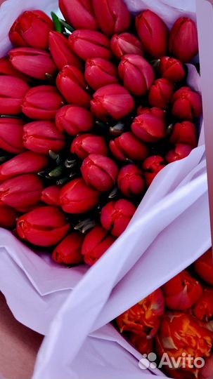 Тюльпаны и мимоза