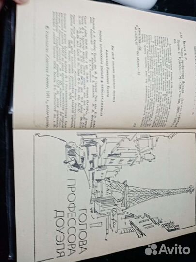 Александр Беляев Человек-амфибия, Голова профессор