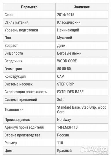 Лыжи детские 110