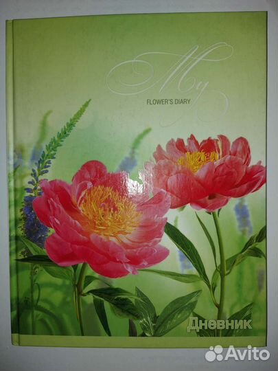 Дневник школьный