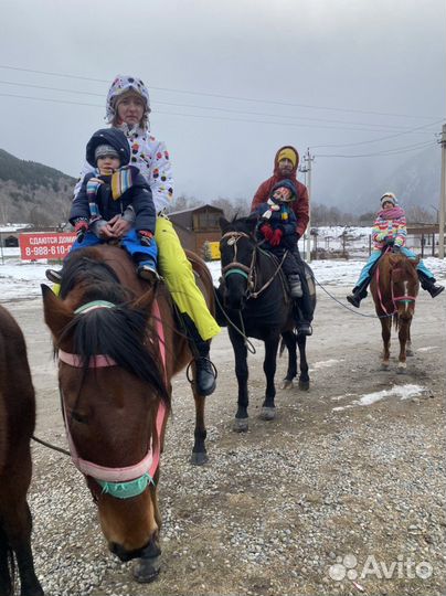 Конный прокат