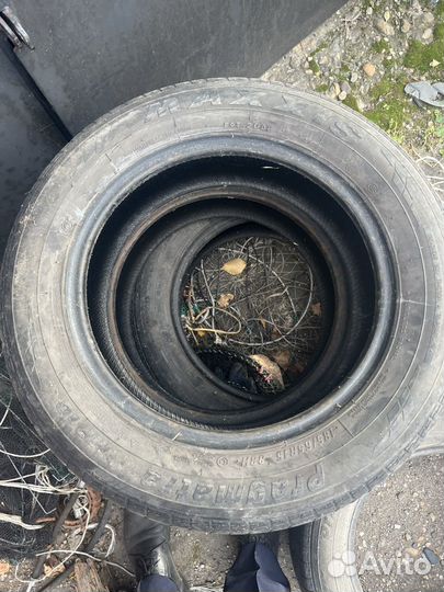 Maxxis Pragmatra MP10