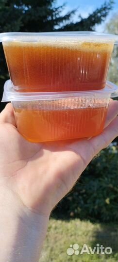 Мёд. Разнотравие. 2023г