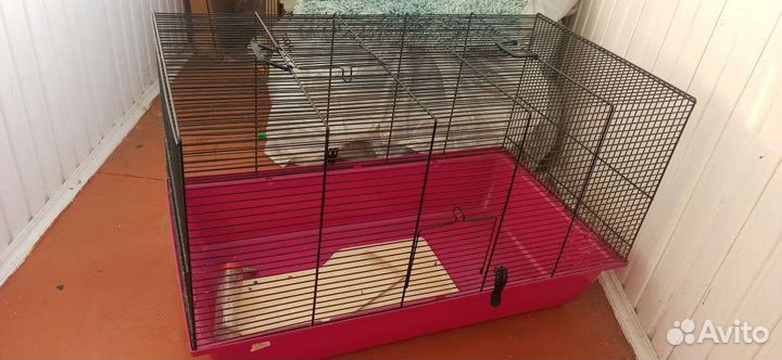 Клетка для грызунов бу