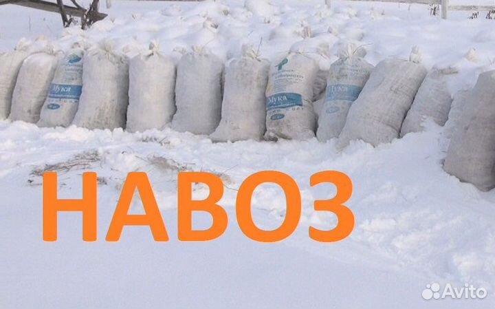 Продам Навоз конский