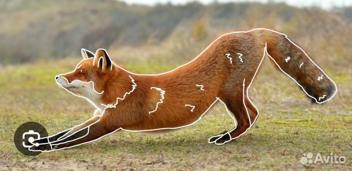 Арт для квадробики