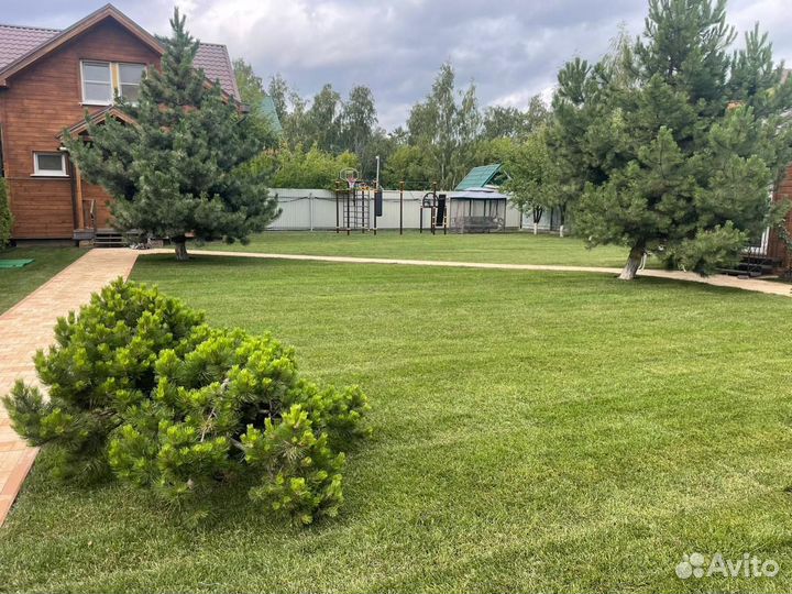 Газон