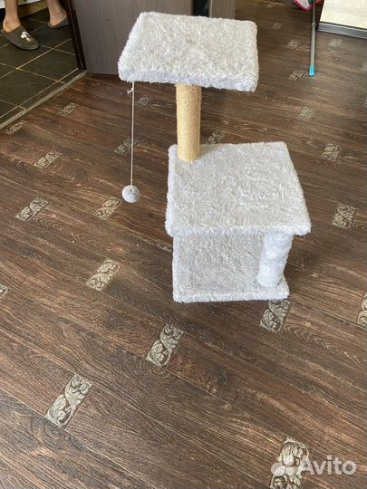 Когтеточка