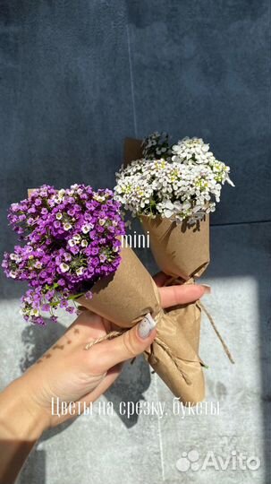 Цветы ко Дню Учителя