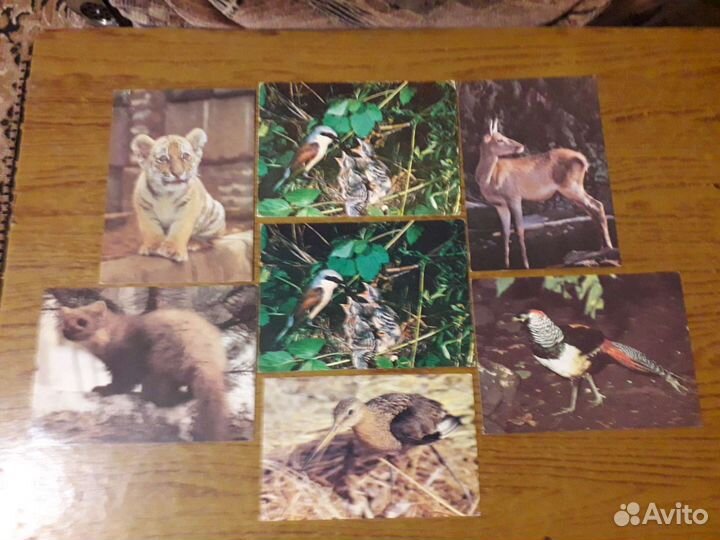 Открытки с животными