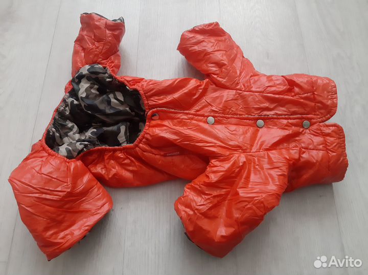 Зимний комбинезон для мелкой породы