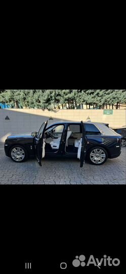 Аренда авто с водителем vip