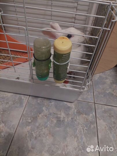 Клетка для грызуна