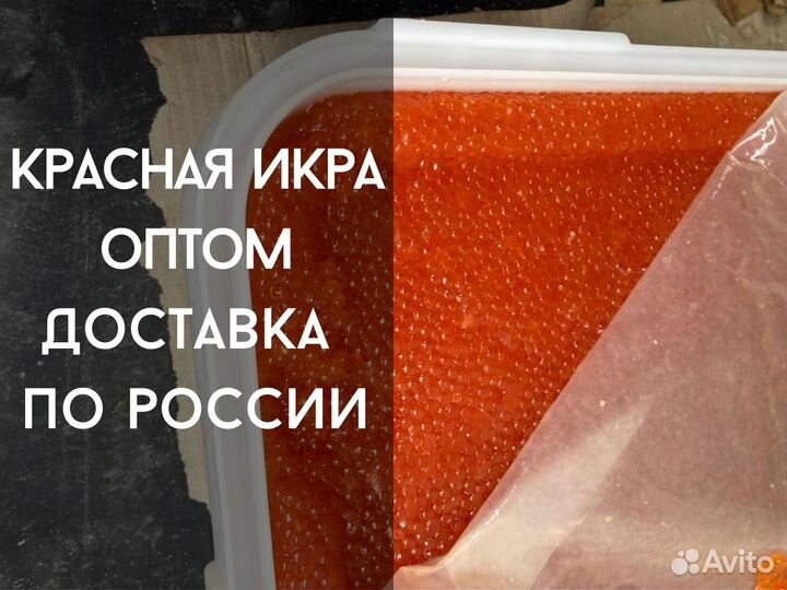 Красная икра оптом с доставкой