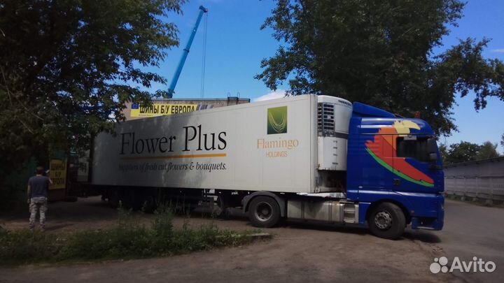 Michelin Pilot Alpin PA3 235/40 R18